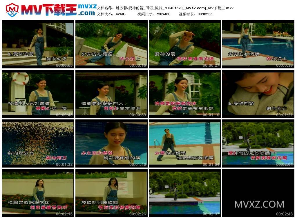 姚苏蓉-爱神的箭_国语_流行_MD401320